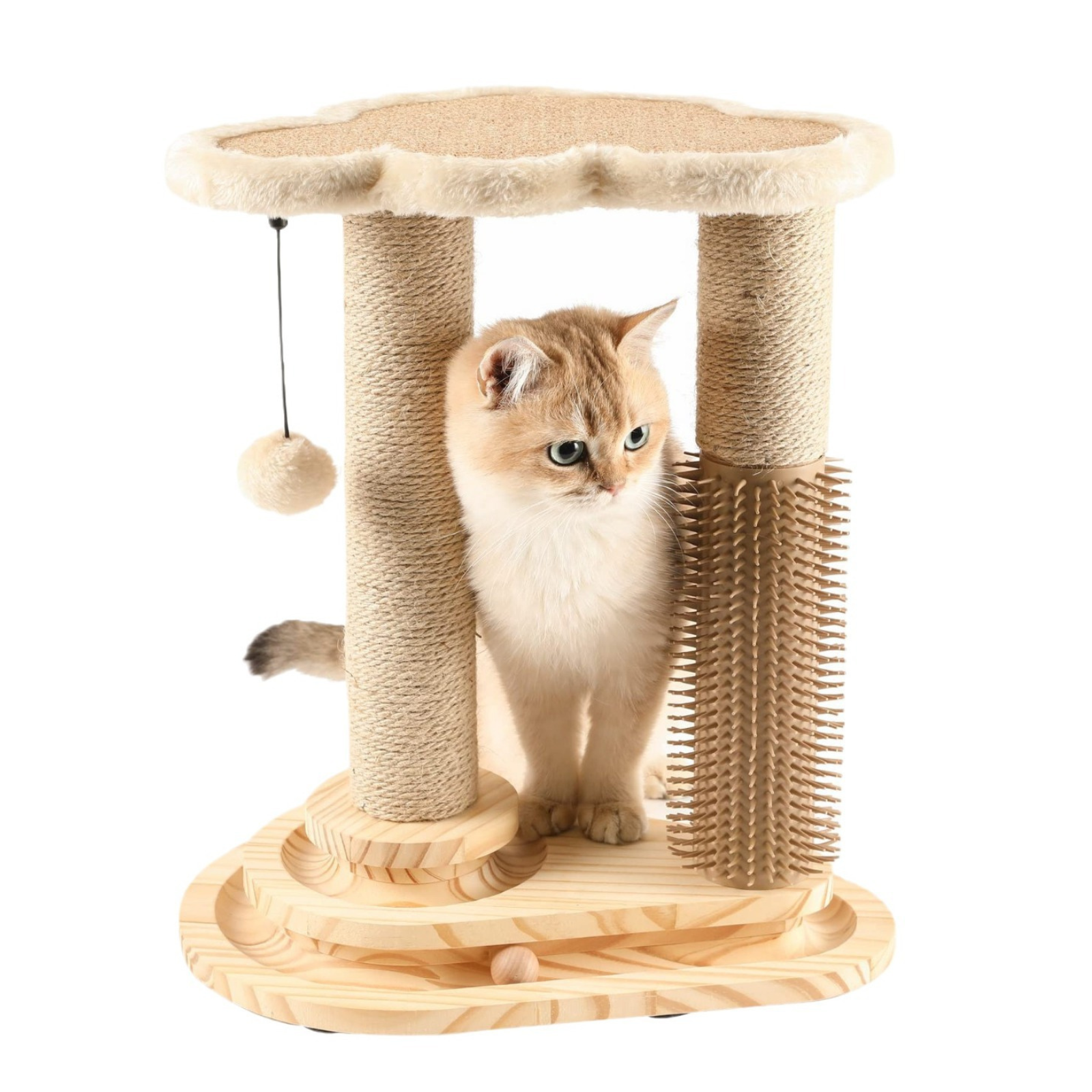 Cat Scratching Post with Sisal and Interactive Ball Track – A sturdy wooden cat scratching post with a sisal-covered pole and an engaging ball track to keep cats entertained.

