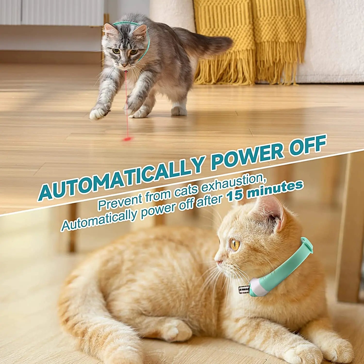 Cat chasing moving laser beam from automatic laser cat collar, promoting healthy exercise and preventing boredom.