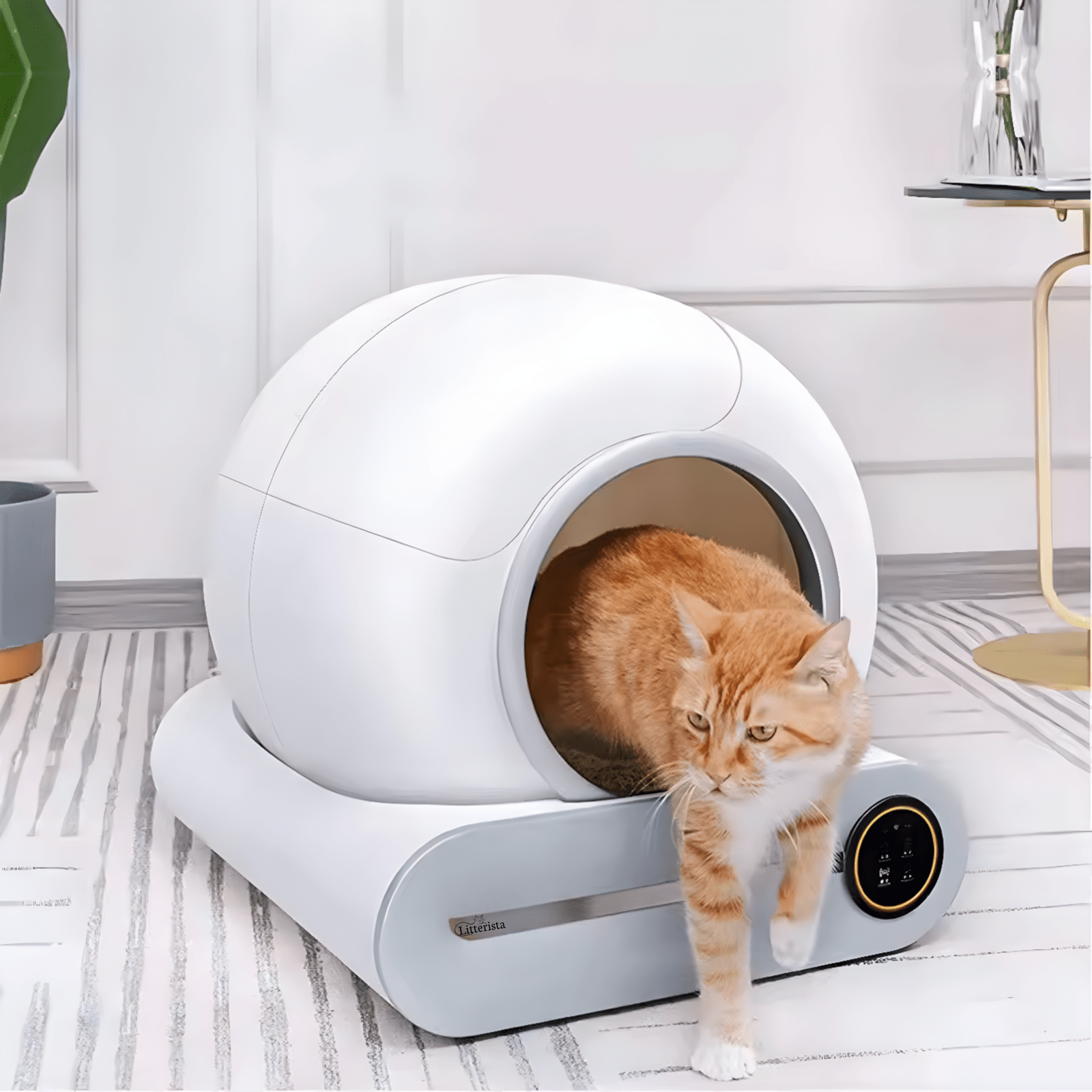 Cat Smart Litter Box Pet Toilet - LitteristaSmart Litter boxMy StoreLitterista