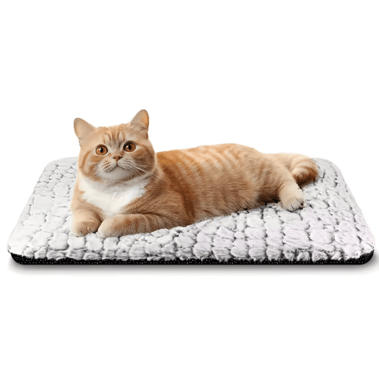 CozyPaws Self - Warming Cat Bed – Super Soft, Indoor Heating Pad for Cats - LitteristaCat Litter PadMy StoreLitterista