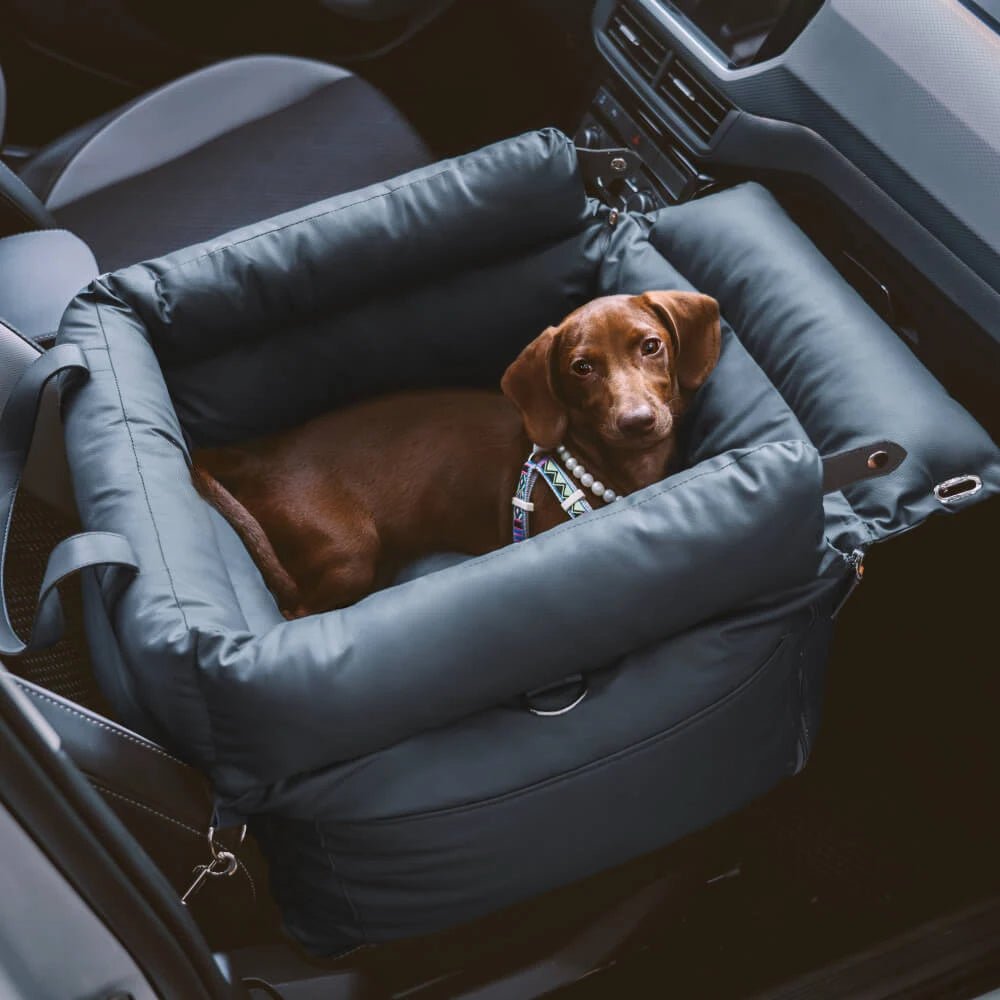 Dog Car Seat Bed with Safety Buckle - LitteristaPet seatLitteristaLitterista