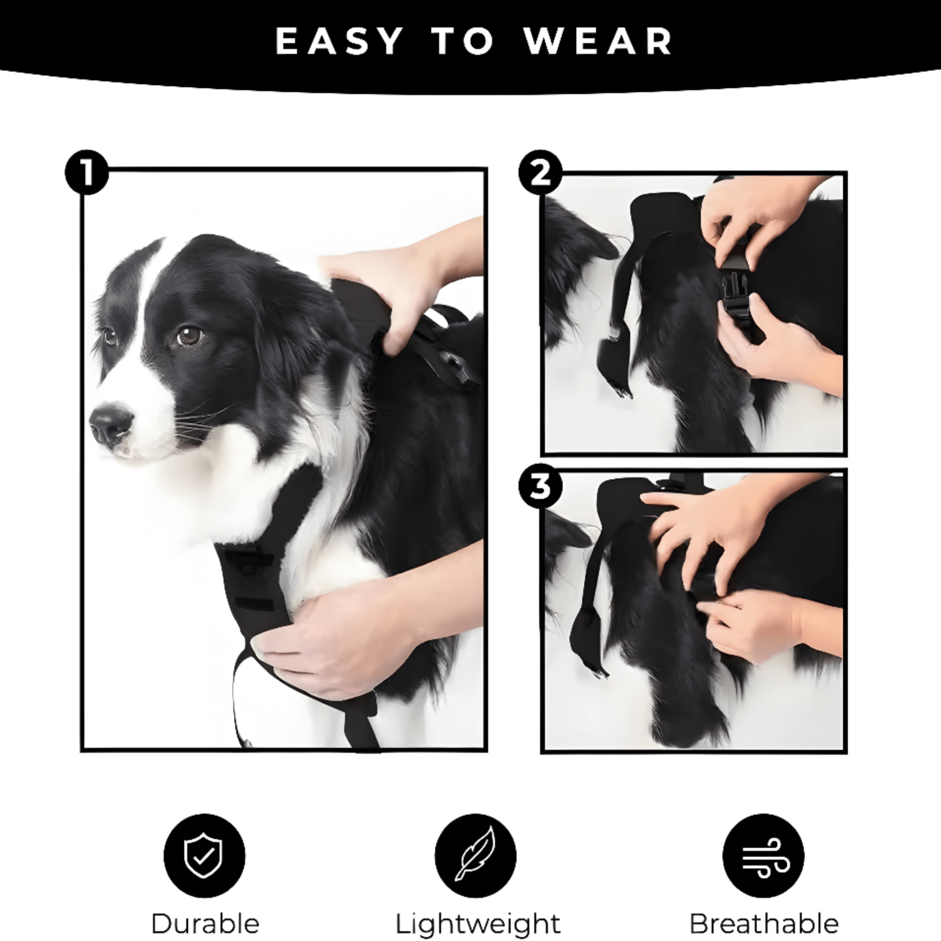 Dog Harness and Automatic Retractable Leash Kit - LitteristaDog HarnessMy StoreLitterista