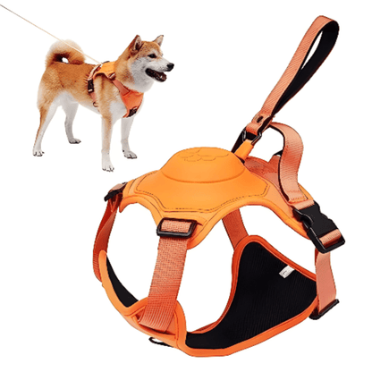 Dog Harness and Automatic Retractable Leash Kit - LitteristaDog HarnessMy StoreLitterista