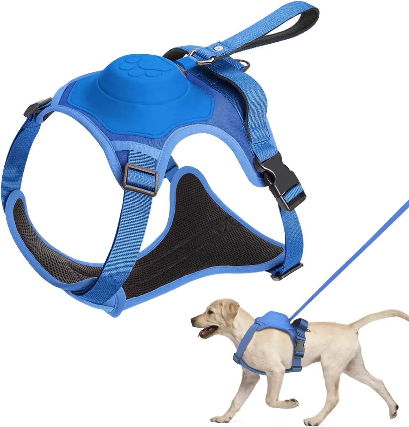 Dog Harness and Automatic Retractable Leash Kit - LitteristaDog HarnessMy StoreLitterista