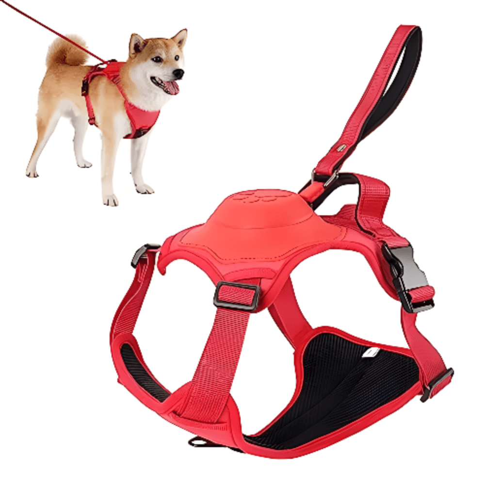 Dog Harness and Automatic Retractable Leash Kit - LitteristaDog HarnessMy StoreLitterista