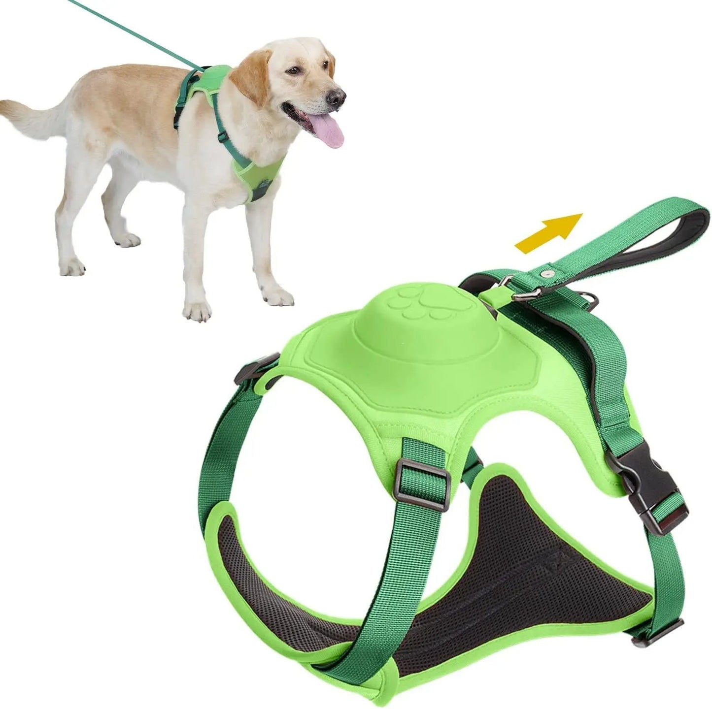 Dog Harness and Automatic Retractable Leash Kit - LitteristaDog HarnessMy StoreLitterista