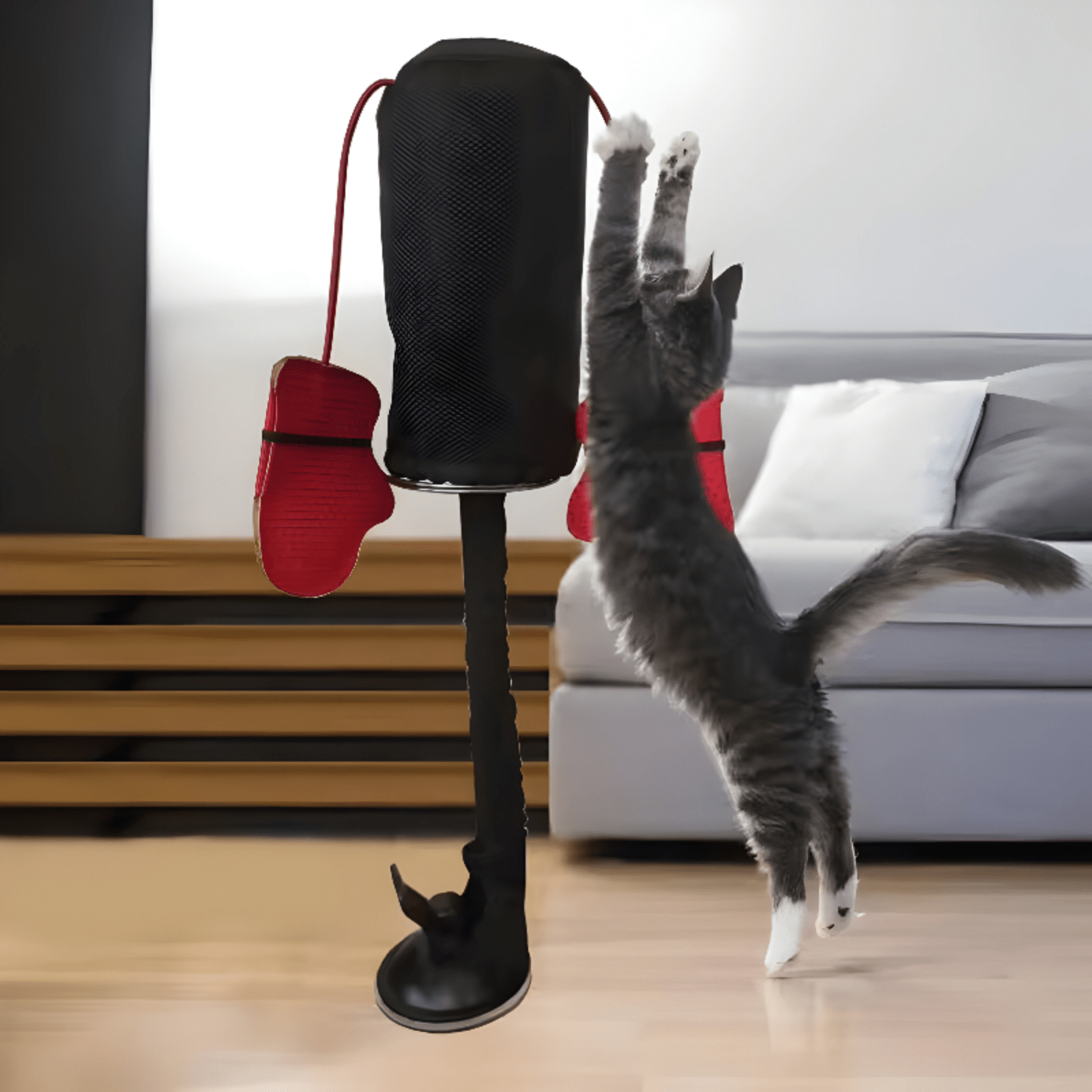 Funny training Cat toy: Punching Bag With Boxing Gloves - LitteristaCat Punching BagMy StoreLitterista