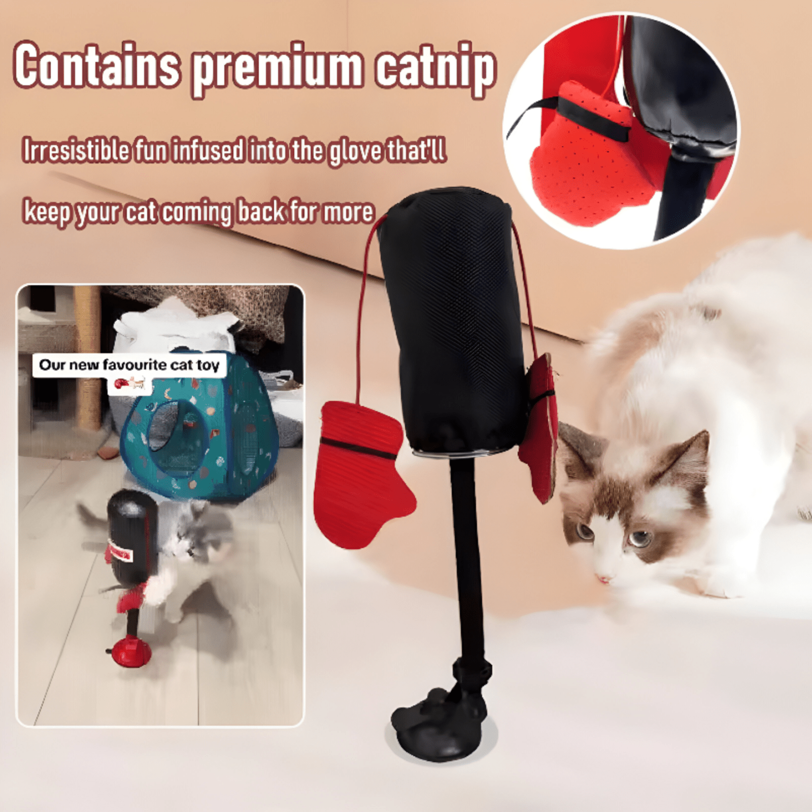 Funny training Cat toy: Punching Bag With Boxing Gloves - LitteristaCat Punching BagMy StoreLitterista