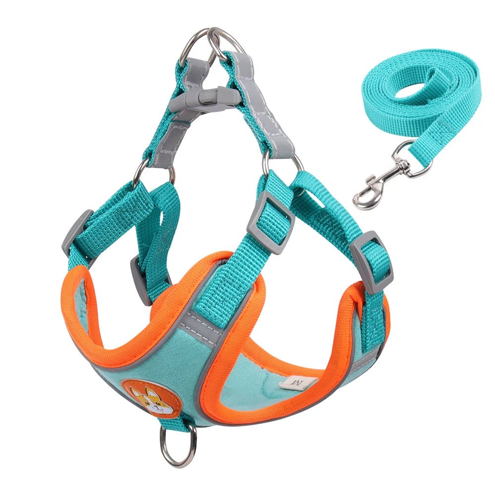 Blue"Durable cat harness with adjustable straps and secure buckle for a snug anti-escape fit."

