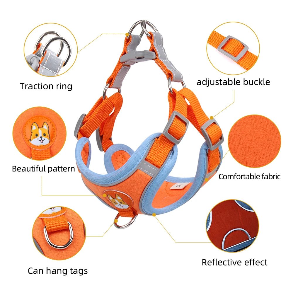 Orange"Comfortable cat harness and leash for outdoor walks – breathable, lightweight, and stylish design."

