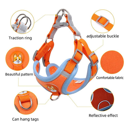 Orange"Comfortable cat harness and leash for outdoor walks – breathable, lightweight, and stylish design."

