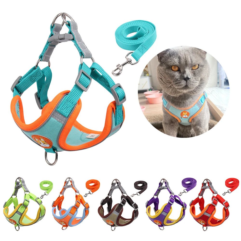 Pet Cat Harness And Leash Set - 