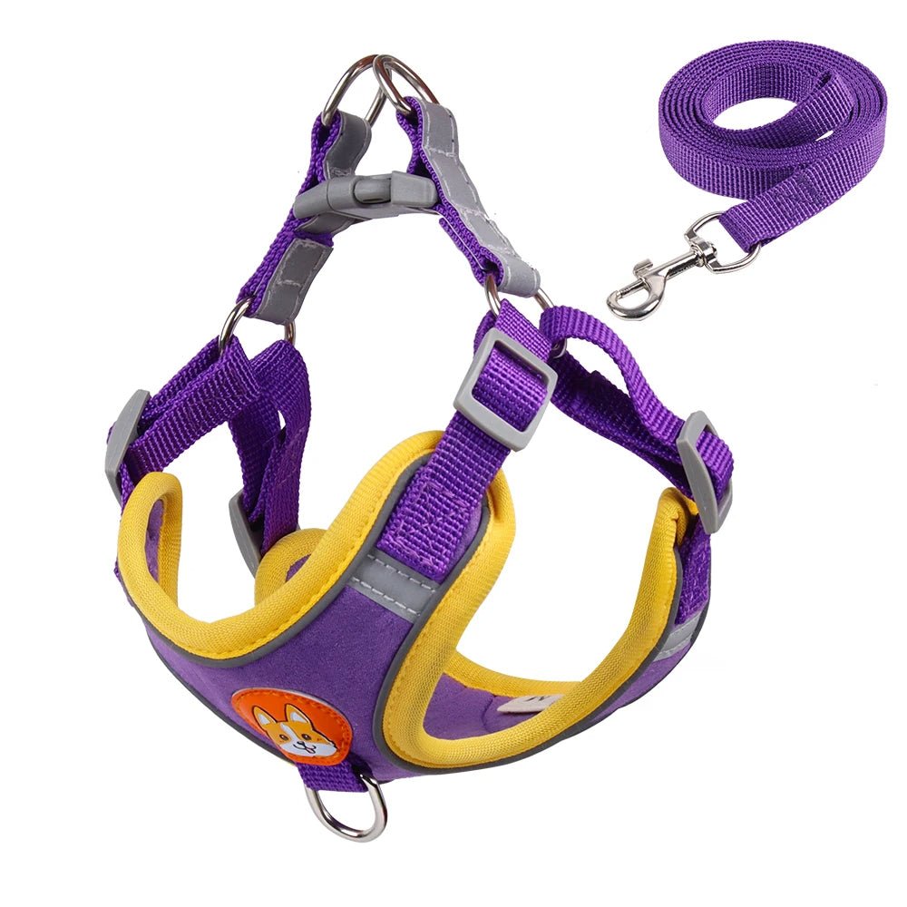 Purple "Trendy cat harness patterns with leash – stylish, safe, and available in multiple designs."

