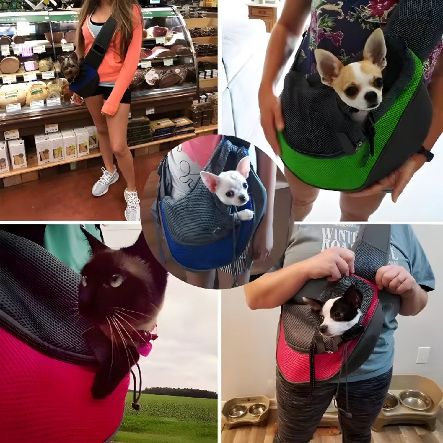 Demonstration of the ergonomic and lightweight pet carrier backpack for small pets