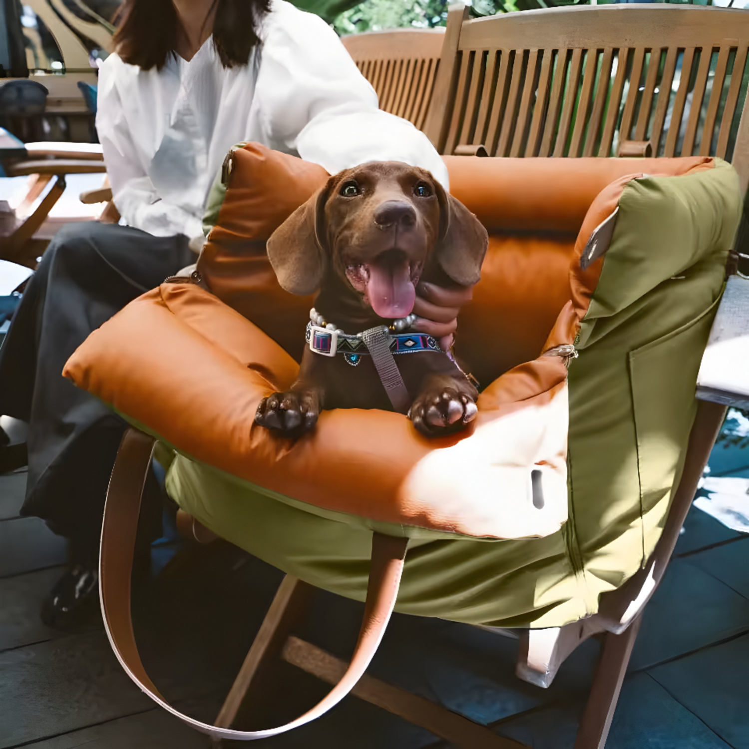 Dog sitting comfortably in the car seat bag, secured with a safety buckle to prevent falling, ensuring a stable and safe ride during travel.