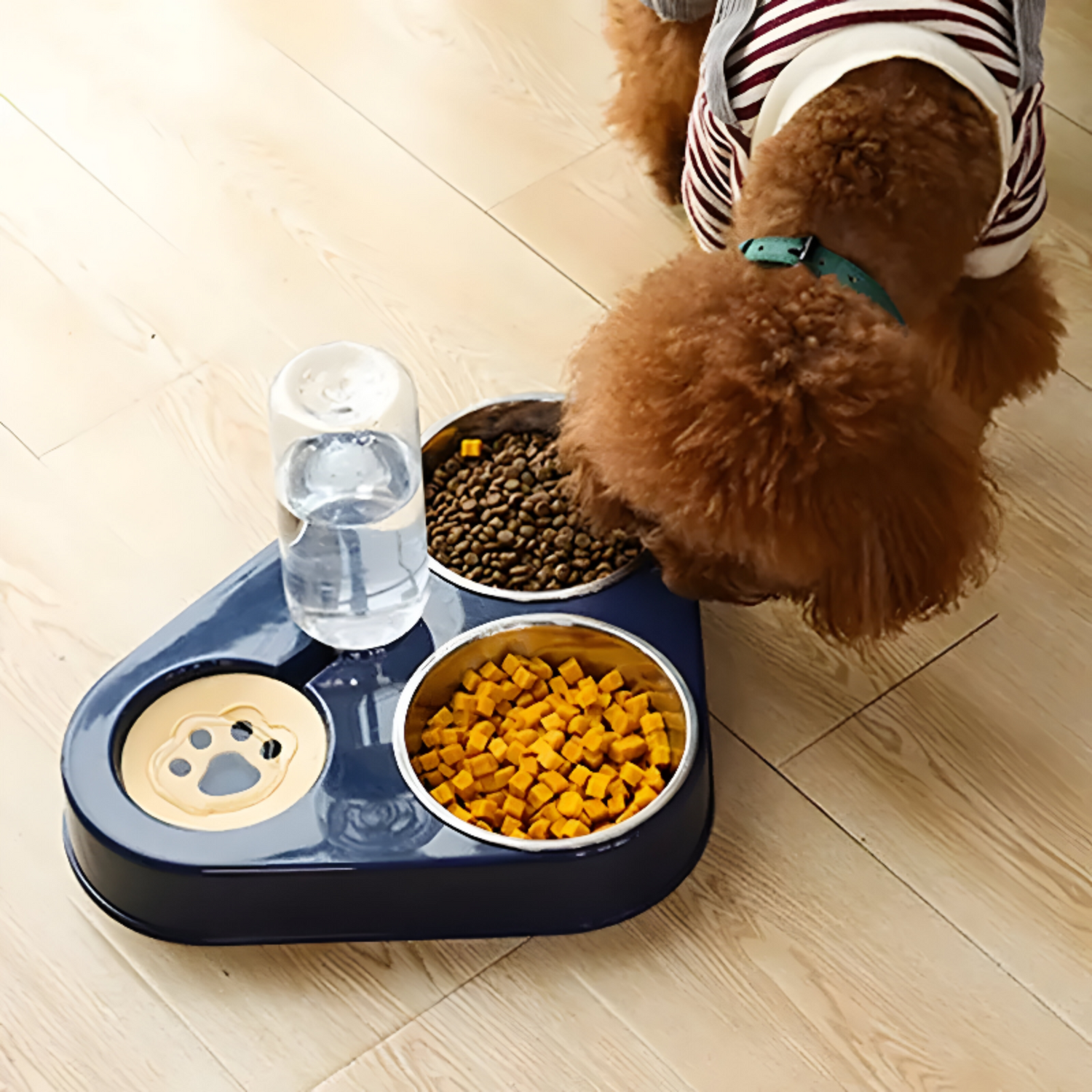 Durable 3-in-1 cat feeding station with separate compartments for balanced meals