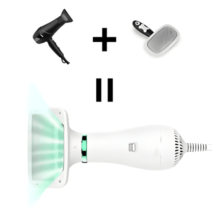 Revolutionize Pet Grooming with Our 2 - in - 1 Pet Hair Dryer and Slicker Brush! - LitteristaPet Hair DryerMy StoreLitterista