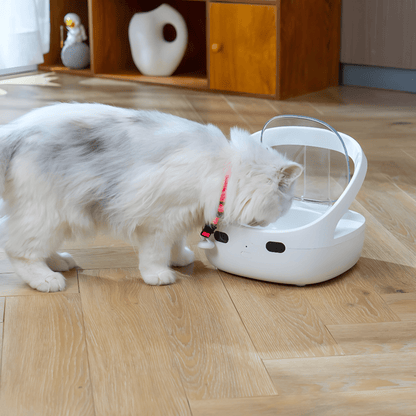 White cat enjoy food in Smart automatic cat feeder with QR code pet recovery collar tag