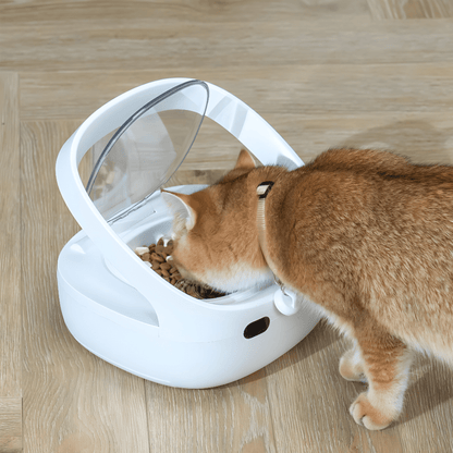 cat enjoys that how Stress-free feeding with RFID-enabled cat feeder for peaceful mealtimes