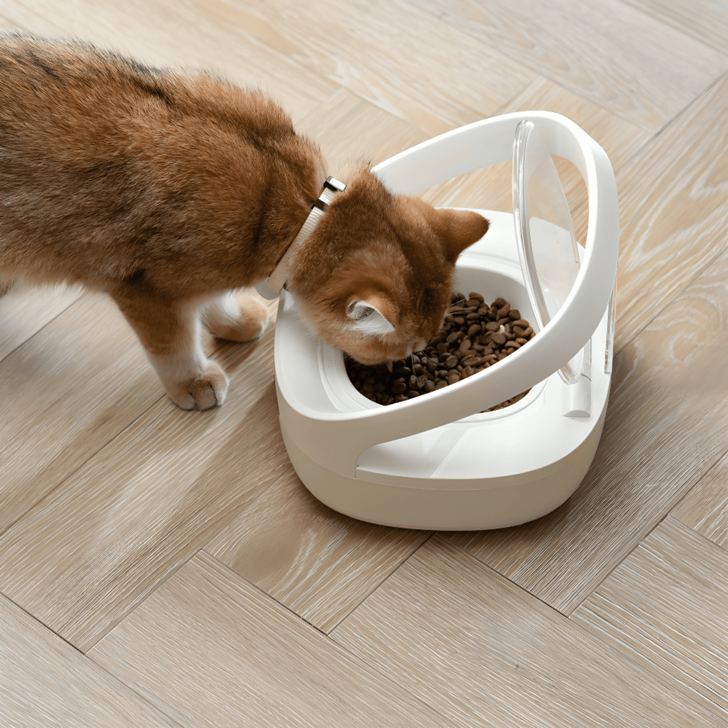 Smart RFID Automatic Cat Feeder - Anti - Theft, Freshness Preserving & Multi - Pet Feeding Solution" - 