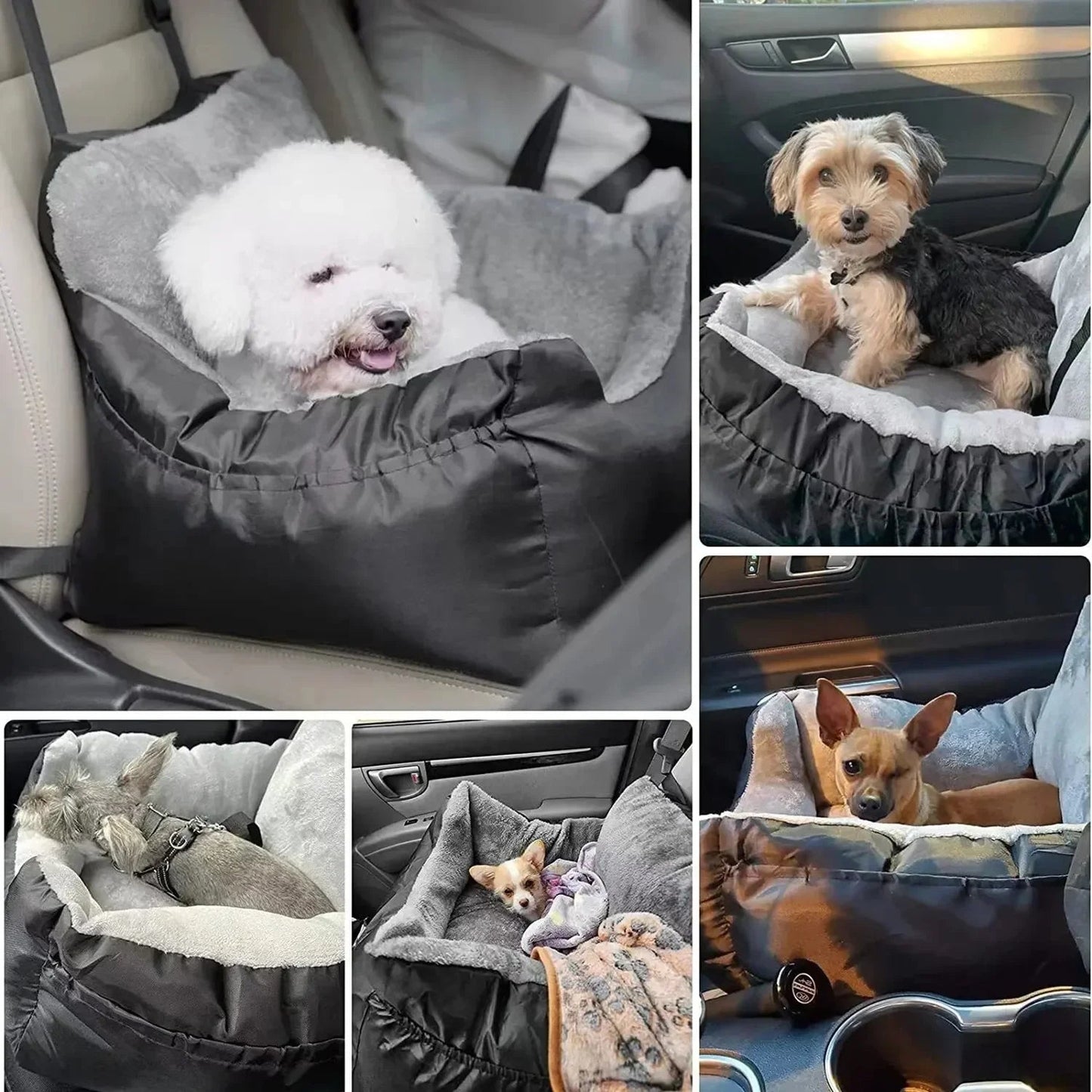 Washable Car Seat for Pet - LitteristaPet seatMy StoreLitterista